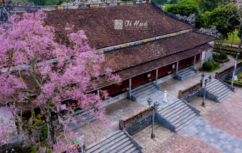 Embark On An Unforgettable Journey Through The Central Hightlands Of Vietnam 10 Days