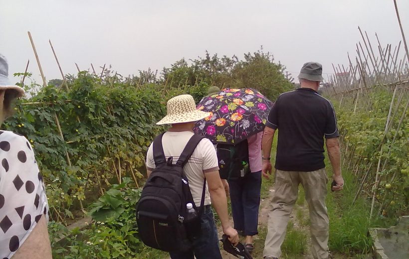 Exploring The Charms Of Riverside Agricutural Surroundings Hanoi Half Day